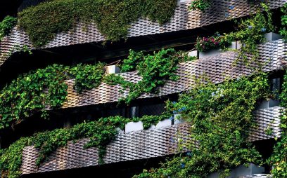 Greenery hanging off a building full of balconies